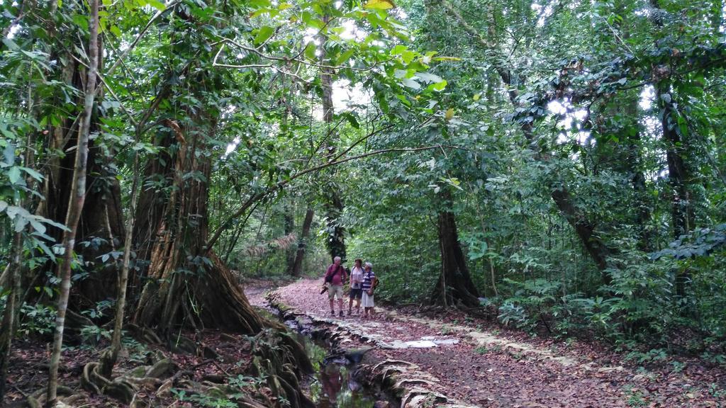 Lirio Lodge Barra de Pacuare Ngoại thất bức ảnh