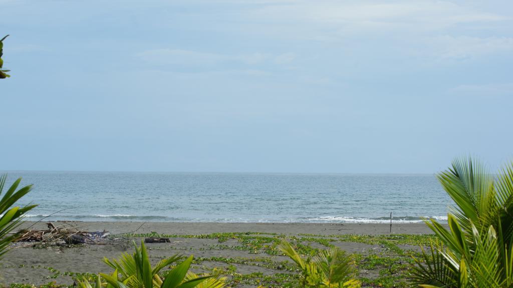 Lirio Lodge Barra de Pacuare Ngoại thất bức ảnh