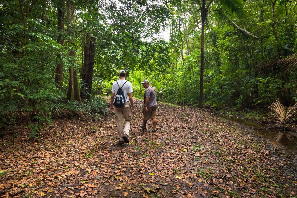 Lirio Lodge Barra de Pacuare Ngoại thất bức ảnh