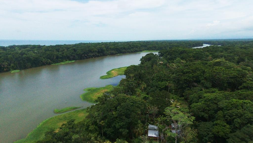 Lirio Lodge Barra de Pacuare Ngoại thất bức ảnh