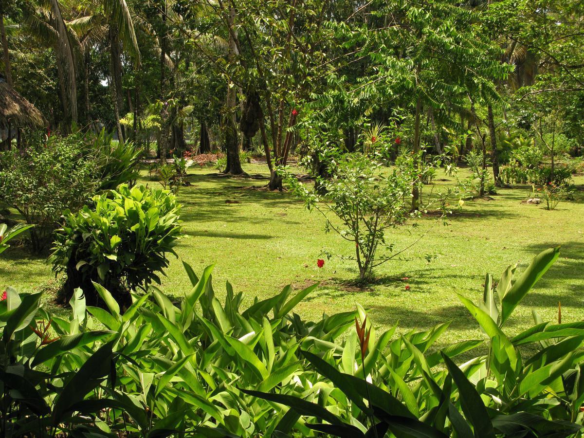 Lirio Lodge Barra de Pacuare Ngoại thất bức ảnh