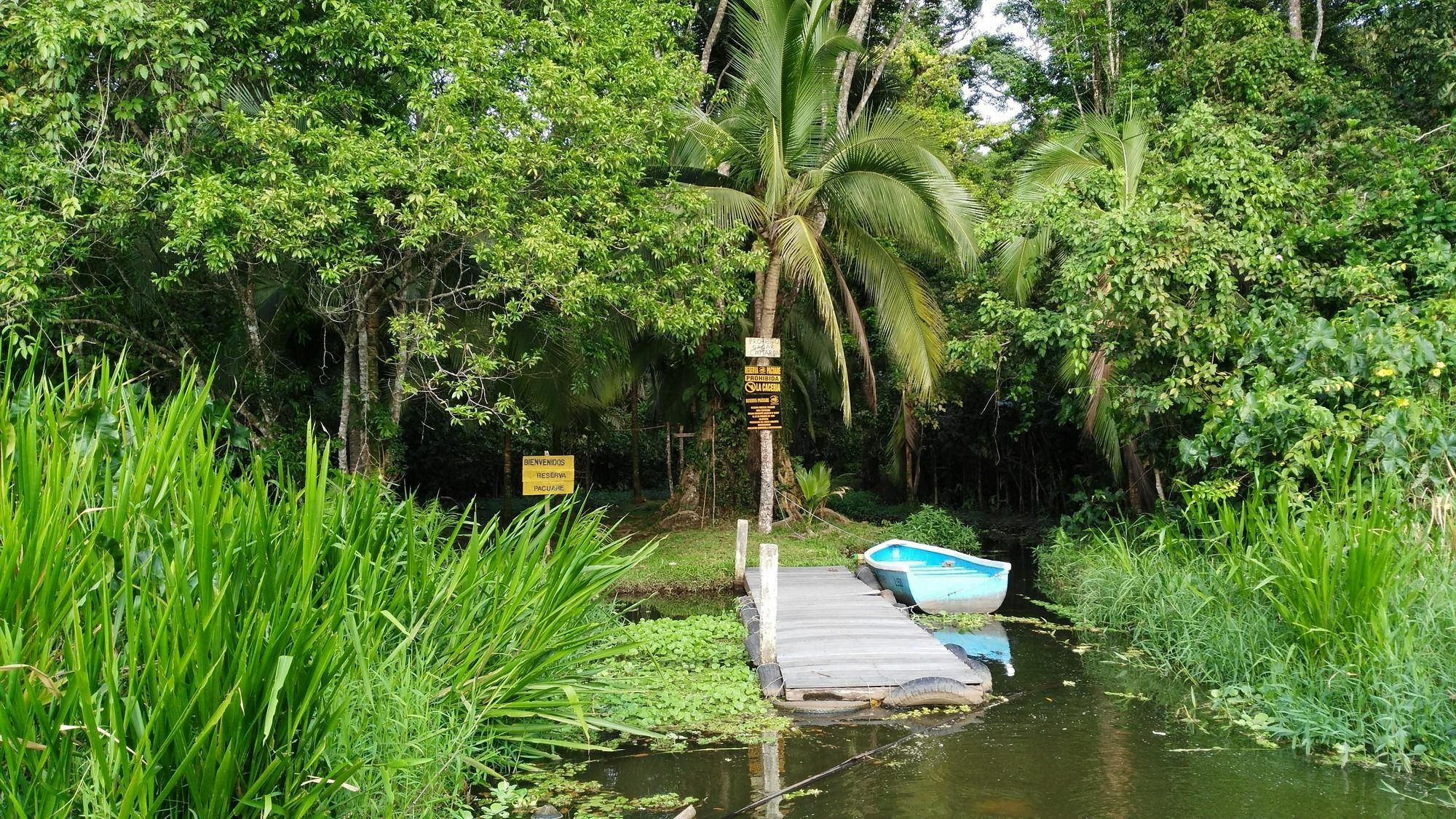 Lirio Lodge Barra de Pacuare Ngoại thất bức ảnh