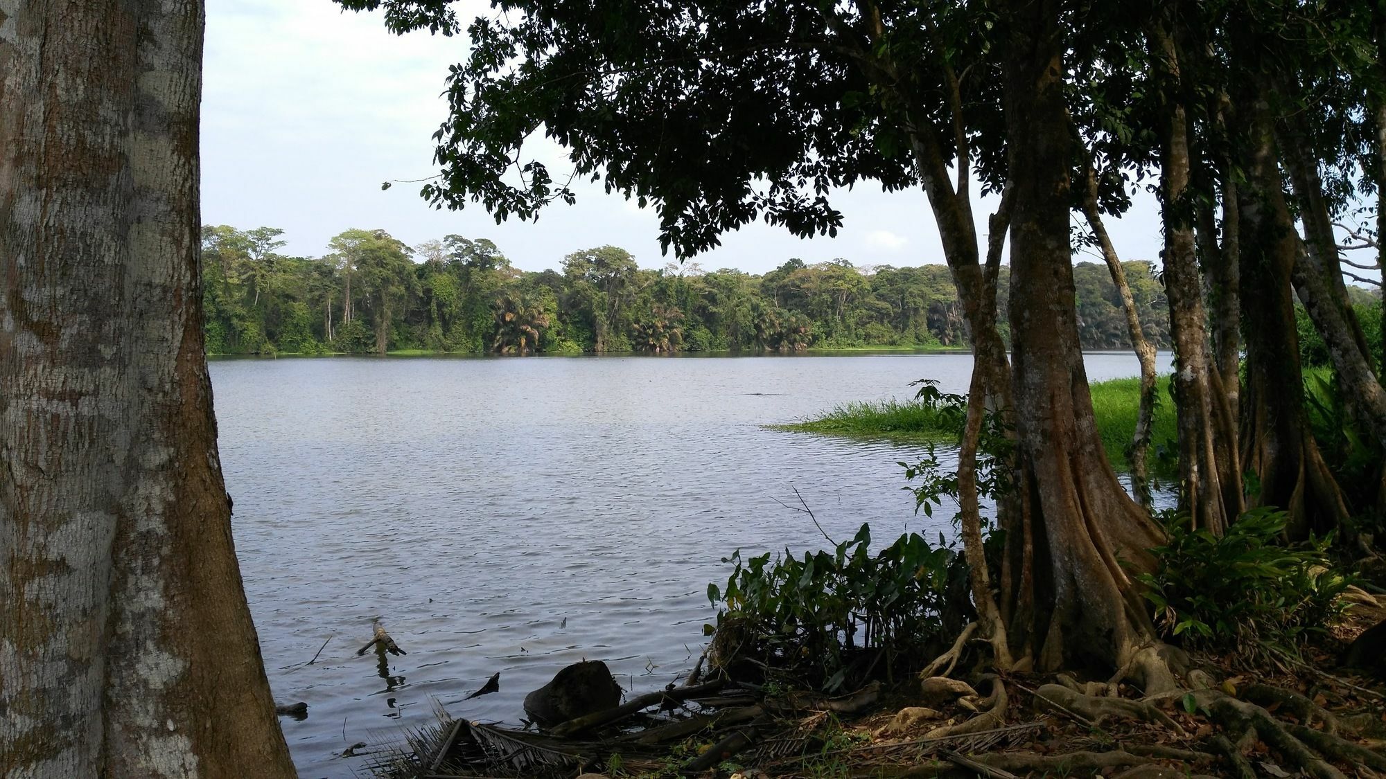 Lirio Lodge Barra de Pacuare Ngoại thất bức ảnh