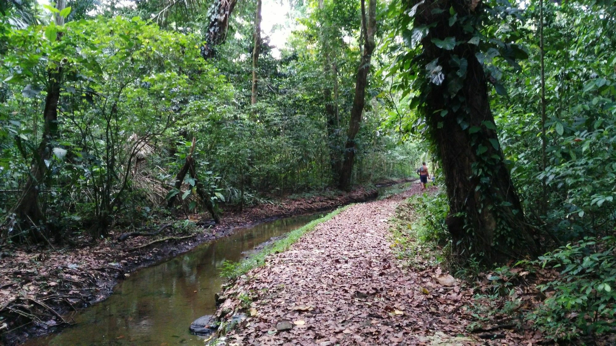 Lirio Lodge Barra de Pacuare Ngoại thất bức ảnh