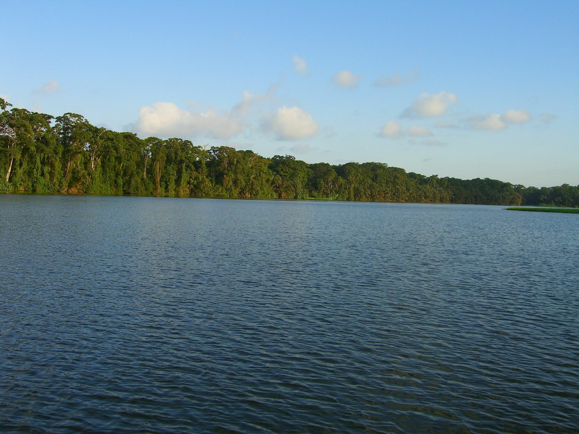 Lirio Lodge Barra de Pacuare Ngoại thất bức ảnh