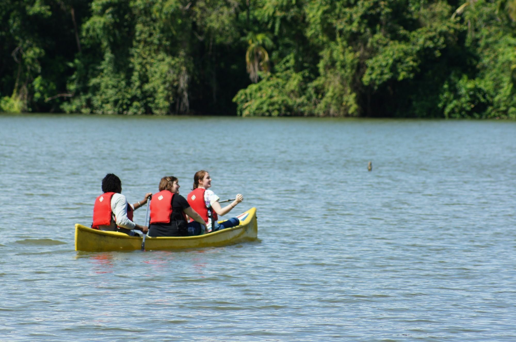 Lirio Lodge Barra de Pacuare Ngoại thất bức ảnh