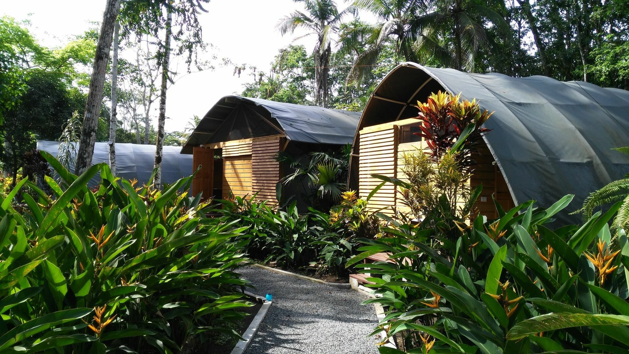 Lirio Lodge Barra de Pacuare Ngoại thất bức ảnh