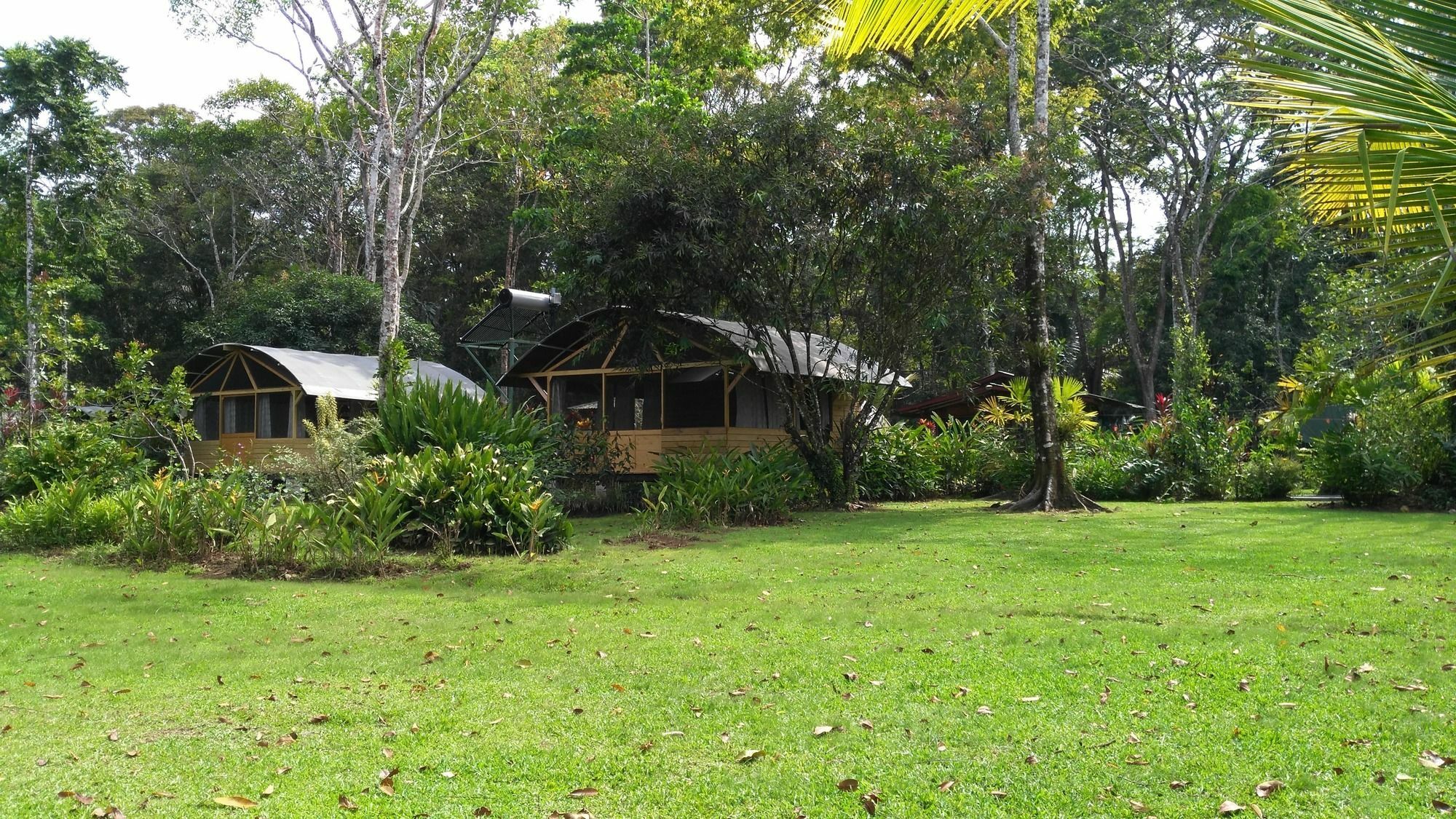 Lirio Lodge Barra de Pacuare Ngoại thất bức ảnh
