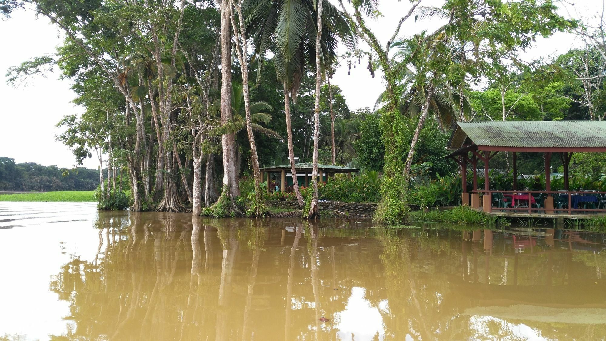 Lirio Lodge Barra de Pacuare Ngoại thất bức ảnh