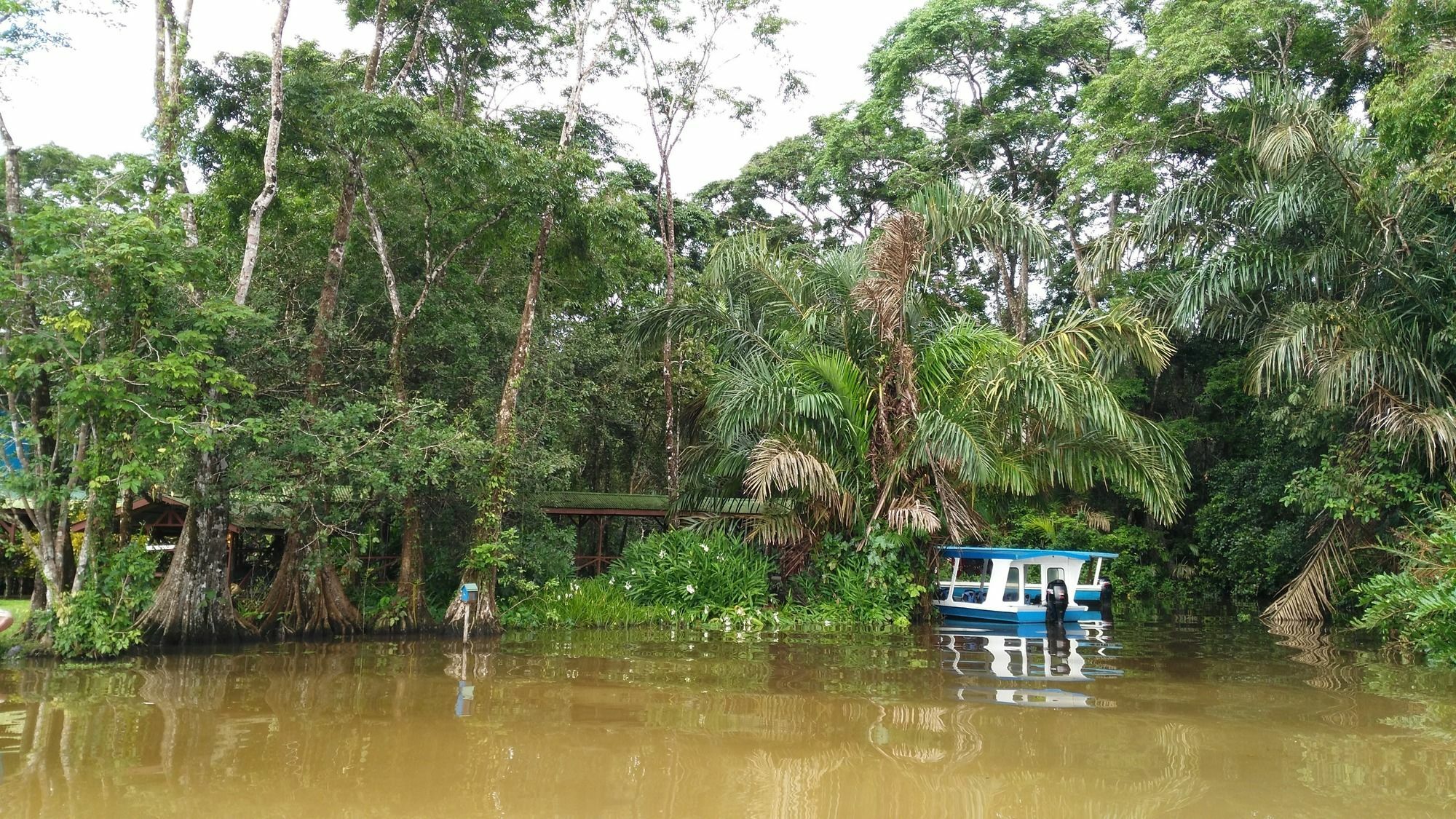 Lirio Lodge Barra de Pacuare Ngoại thất bức ảnh