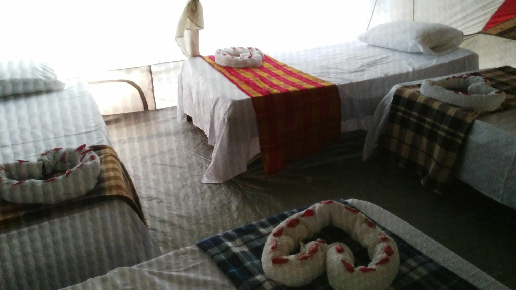 Lirio Lodge Barra de Pacuare Ngoại thất bức ảnh