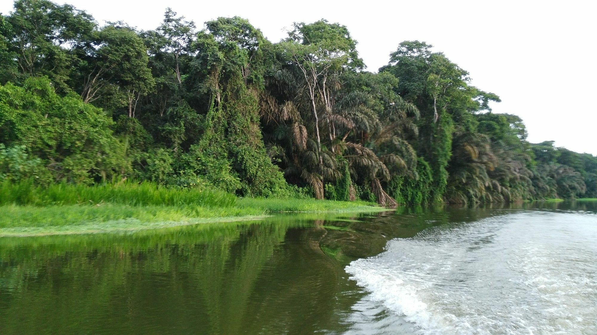Lirio Lodge Barra de Pacuare Ngoại thất bức ảnh